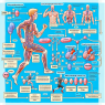 Dehydroepiandrosterone metabolism during physical activity